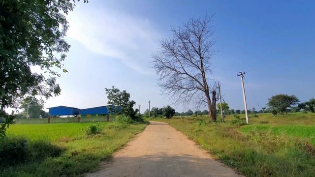 Canon EOS R10 Cinematic 4k Tone смотреть онлайн