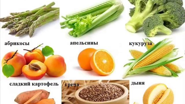 вопросы-ответы 2 Ганизм смотреть онлайн