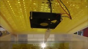 Обзор новой модели китайского инкубатора с резервным питанием на 96 яиц
