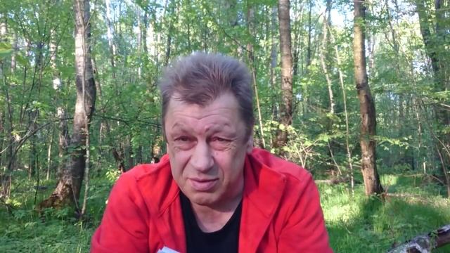 КАК СДЕЛАТЬ ИЗ СОБАКИ УБИЙЦУ?ДРЕССИРОВКА И ВОСПИТАНИЕ РОТВЕЙЛЕРА.
