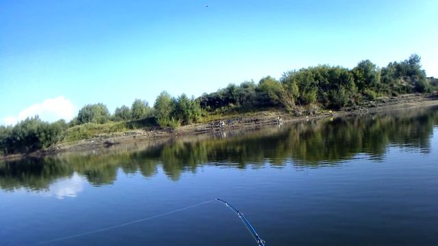 Обзор рыбных мест 29 08 2018г №1 р Иртыш г Омск Рыбалка спининнгом, джиг, тролиннг в зат Лампочка смотреть онлайн