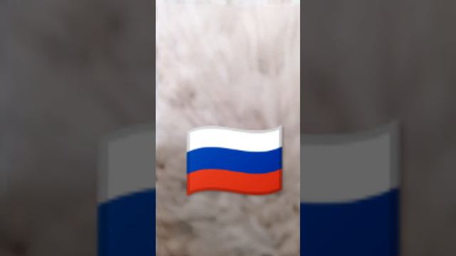 Гимн России 🇷🇺🇷🇺🇷🇺