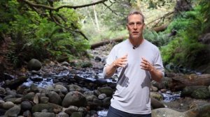 What is Qi Gong (Chi Kung)? Master Qi Gong Teacher Lee Holden Answers