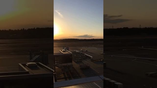 Narita International Airport Skyview