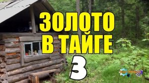 0889 - БОМЖИ В ТАЙГЕ _ ЗИМОВЬЕ ШАЛАШ _ БОЛЬШАЯ ШИШКА И ЗОЛОТО 3 из 4.mp4