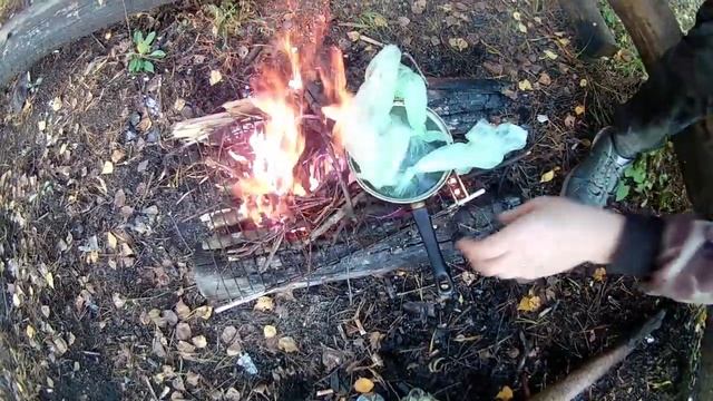 ЯЙЦА ПАШОТ//ЛЕСНАЯ КУХНЯ