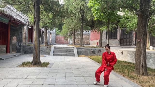 Шаг тайцзи. Внутренняя работа. смотреть онлайн