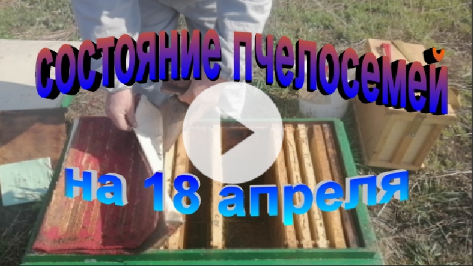 Состояние пчелосемей на 18 апреля смотреть онлайн