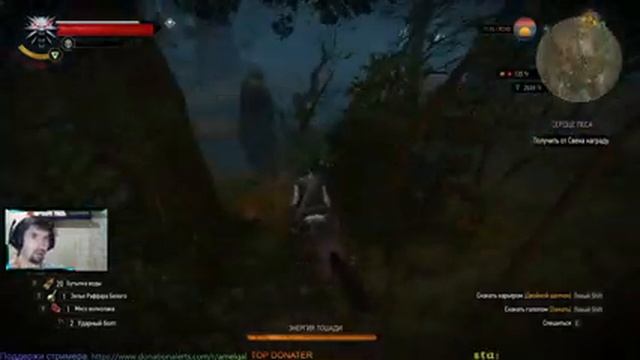 Ведьмак 3 Священный сад Проклятье Моркварга #12 #Amelgal stream смотреть онлайн