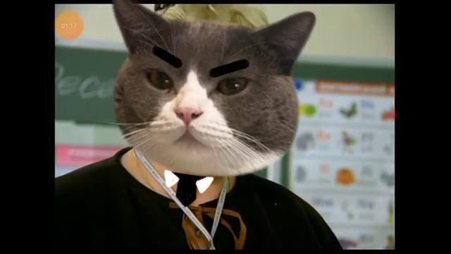 дую спик инглиш RYTP.Сори пока что я не умею делать профессиональный RYTP. смотреть онлайн