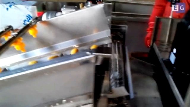 Линия для мойки и сушки фруктов (сухофруктов)