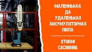 Маленькая, да удаленькая! Аккумуляторная пила Sturm! CSC1808BL