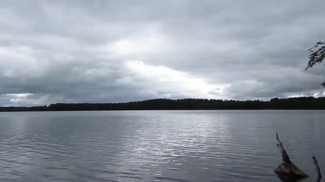 Озеро язно псковская область. Озеро язно псковская область. Озеро язно. Язно невельский. Озеро язно.