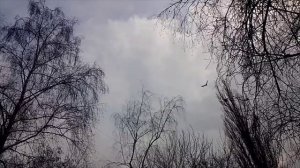 Сильная молитва на хорошую торговлю и для материального благополучия.