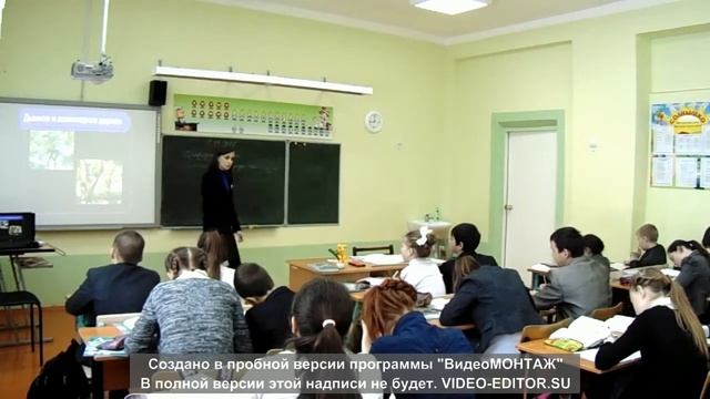 Южная Америка. Природные зоны. Изменение природы человеком.