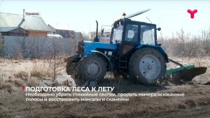 Минерализованные полосы