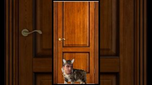 Мурад подборка лучших мемов