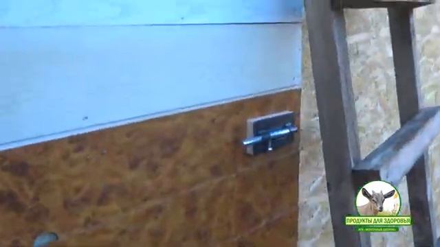 Козовник 6х6 на 12-14 дойных коз, 1 козла и 24-28 козлят  ч 2 Фото + Видео