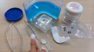 Муравьиная ферма  Гелевая / Распаковка и заселение муравьев // Вместе с Машей