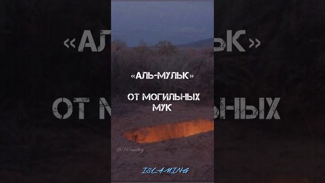 10 СУР КОТОРЫЕ ТЫ ОБЯЗАН ЗНАТЬ! #намаз #аят #дуа #ислам #суры#коран#дуния#Аллах#Мухьаммад#умма