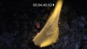 Сколько по времени горит сухое горючее?