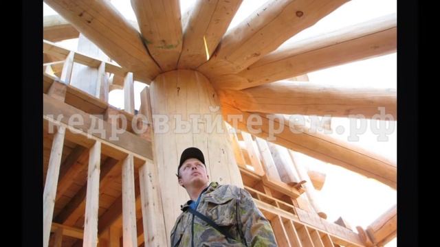 Строительство элитных домов из кедра ручной рубки [Кедровый Терем]