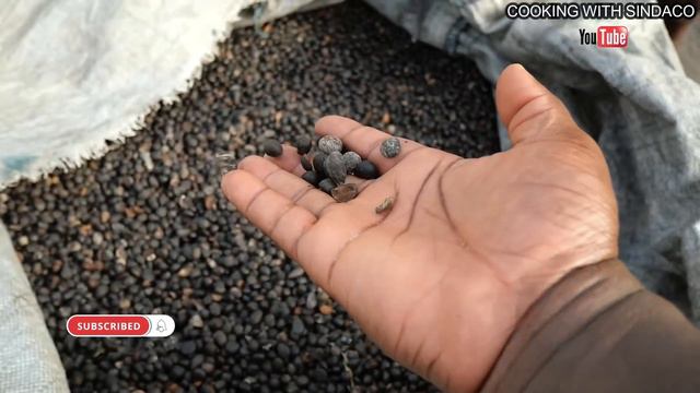 Local oil palm KERNEL OIL !! How palm kernel oil is prepared !! Oil for Medicinal purposes