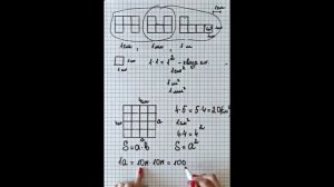 Площадь.  Площадь прямоугольника. 5-6 класс