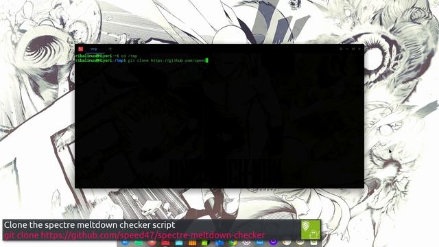How to check your Linux system for the Spectre and Meltdown vulnerabilities смотреть онлайн