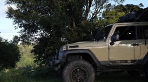 УЮТНЫЙ СОЛО Кемпинг под ДОЖДЕМ [ ASMR ]