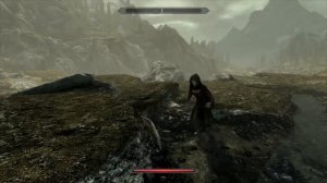 I have no idea- Skyrim