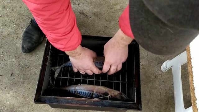 СКУМБРИЯ ГОРЯЧЕГО КОПЧЕНИЯ самый вкусный маринад