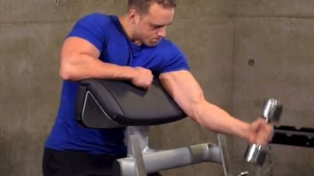 Preacher Hammer Curls Dumbbells. Сгибание рук с гантелями «Проповедник-молот» смотреть онлайн
