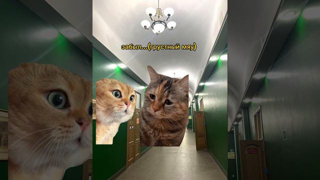 День из жизни студента МГЛУ смотреть онлайн