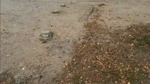 Медное озеро