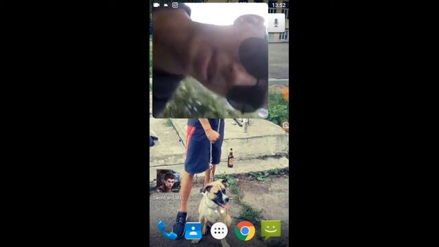 Сегодня покупаю стаффа смотреть онлайн