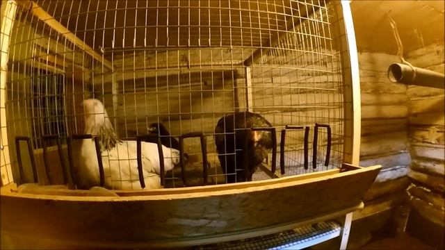 Поле вспахано - посевная заморожена // Будни ЛПХ // Жизнь в деревне смотреть онлайн