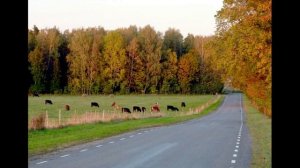 НАШИ ПЕСНИ. Ольга Силаева из Эстонии с песней _Женщины_