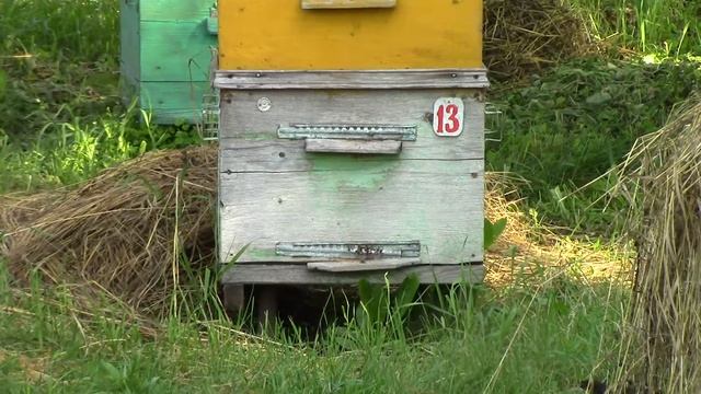 Пасека  подготовлена     для   предотвращения от  отравления  пестицидами