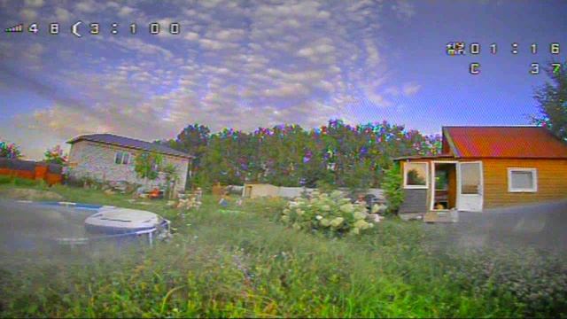 Дачные полетухи