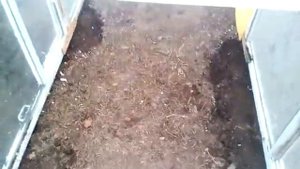 Домик для Цыплят из Рам своими руками....