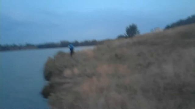 Я на рыбалке ( Удачный клёв словил толстолоба! ) смотреть онлайн