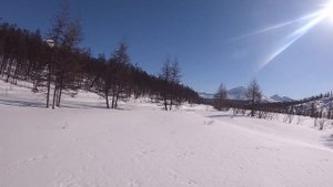 снегоход стелс викинг 800 и немного про карету