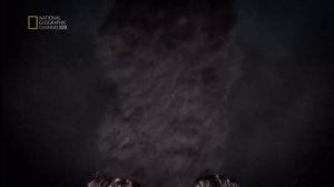 #формирование #земля #история #планета #космос как появилась жизнь