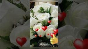 Анвар Ганиев севар ёрим
