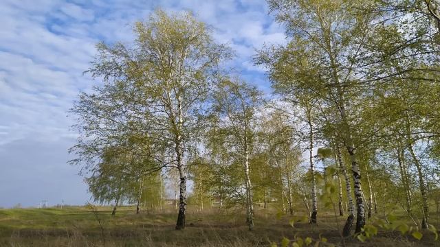 15 мая.ДЕНЬ БОРИСА и ГЛЕБА.Что можно и категорически нельзя делать