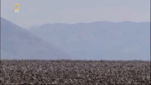 Земля под водой HD С точки зрения науки