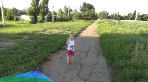 как правильно и весело запустить воздушного змея