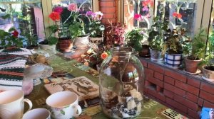 Квас из чёрного хлеба/ без дрожжей/ простой рецепт