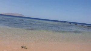 Baron Resort 5* Beach Пляж отеля